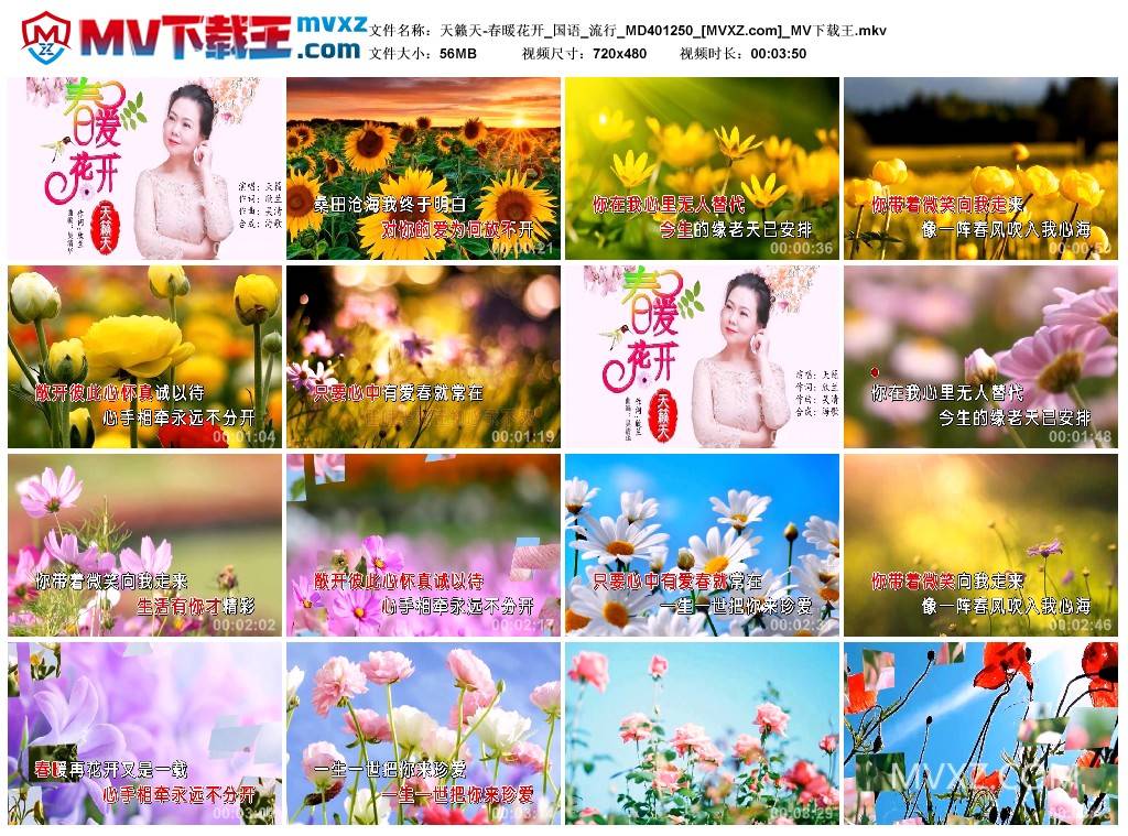 天籁天-春暖花开_国语_流行_MD401250